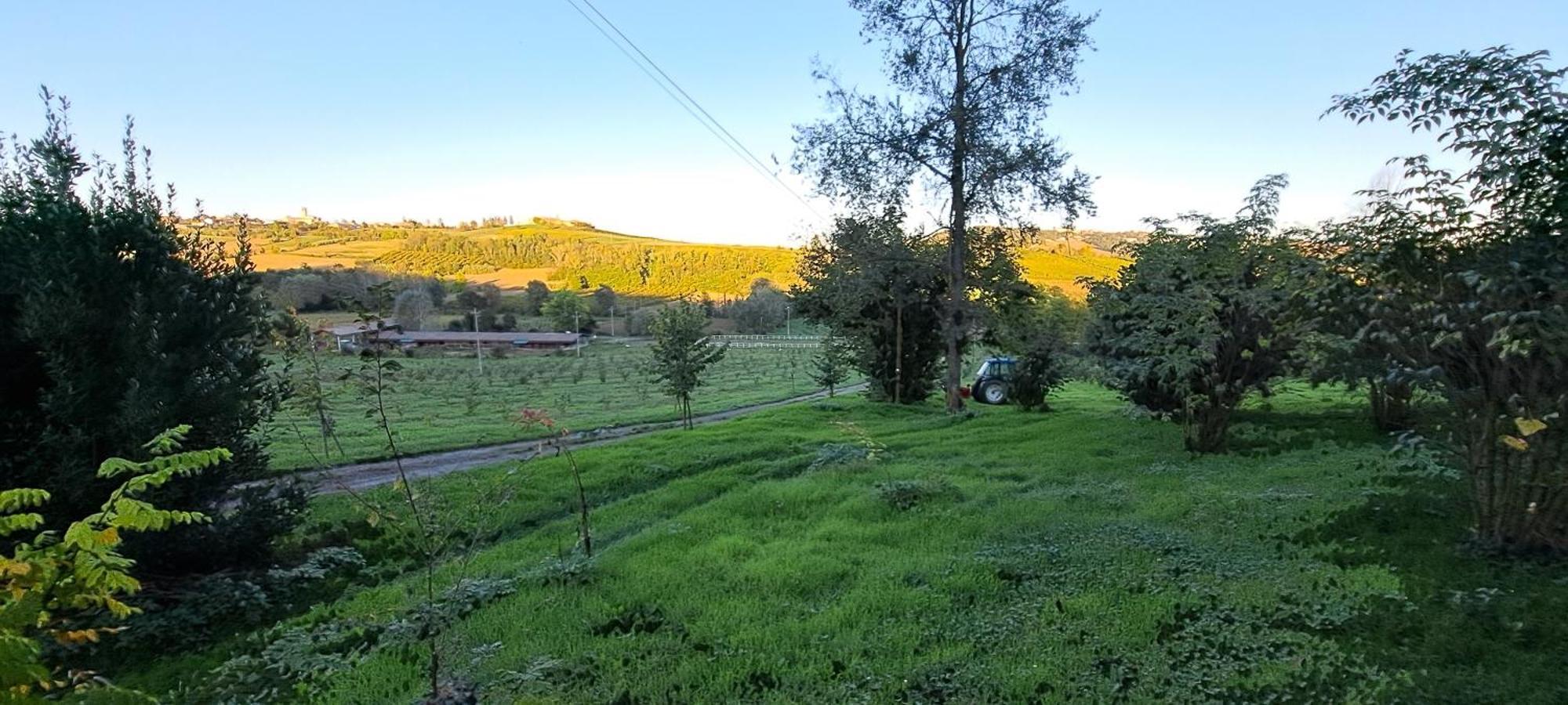 Cascina Fazioli Villa Alfiano Natta Exteriör bild