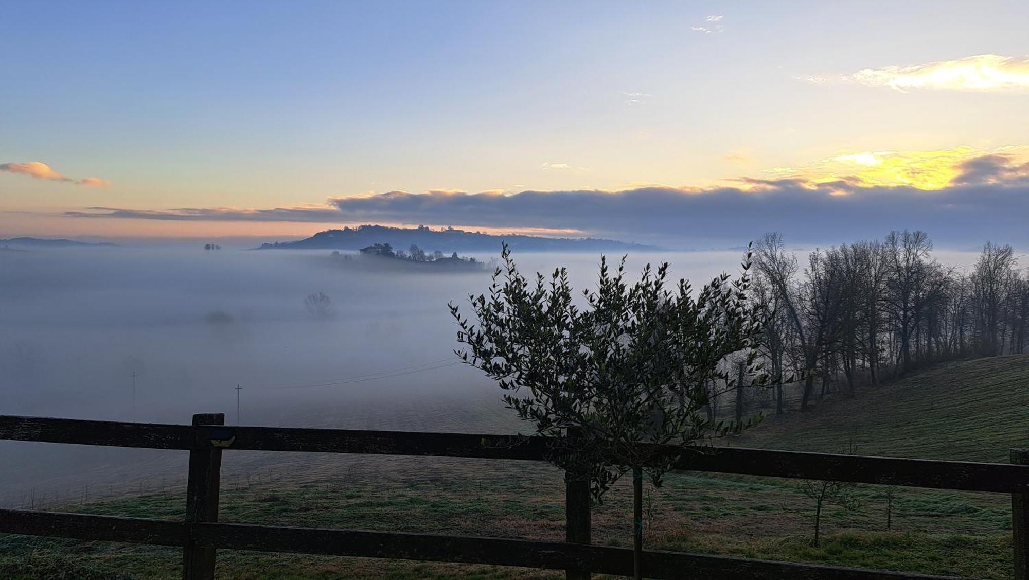 Cascina Fazioli Villa Alfiano Natta Exteriör bild