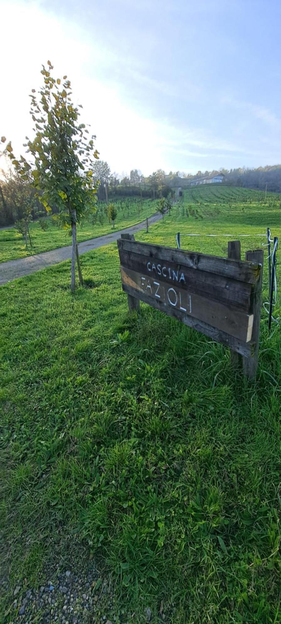 Cascina Fazioli Villa Alfiano Natta Exteriör bild