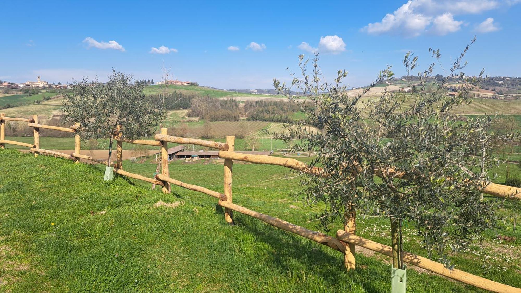 Cascina Fazioli Villa Alfiano Natta Exteriör bild